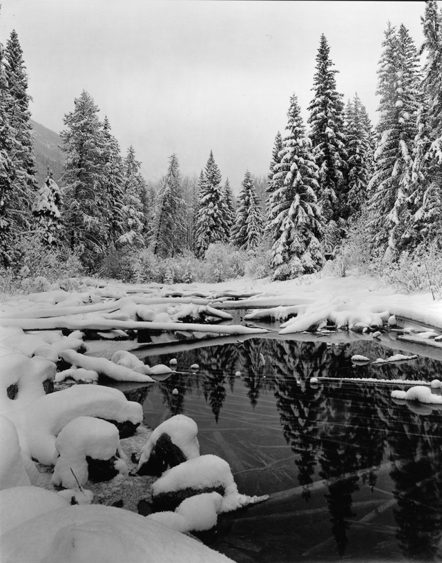 Gordon Dinwoodie Horseshoe Lake